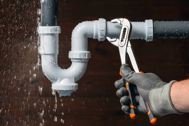 Professional Plumbing technician working in Downs, IL